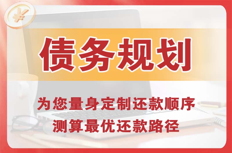 枣强债务规划
